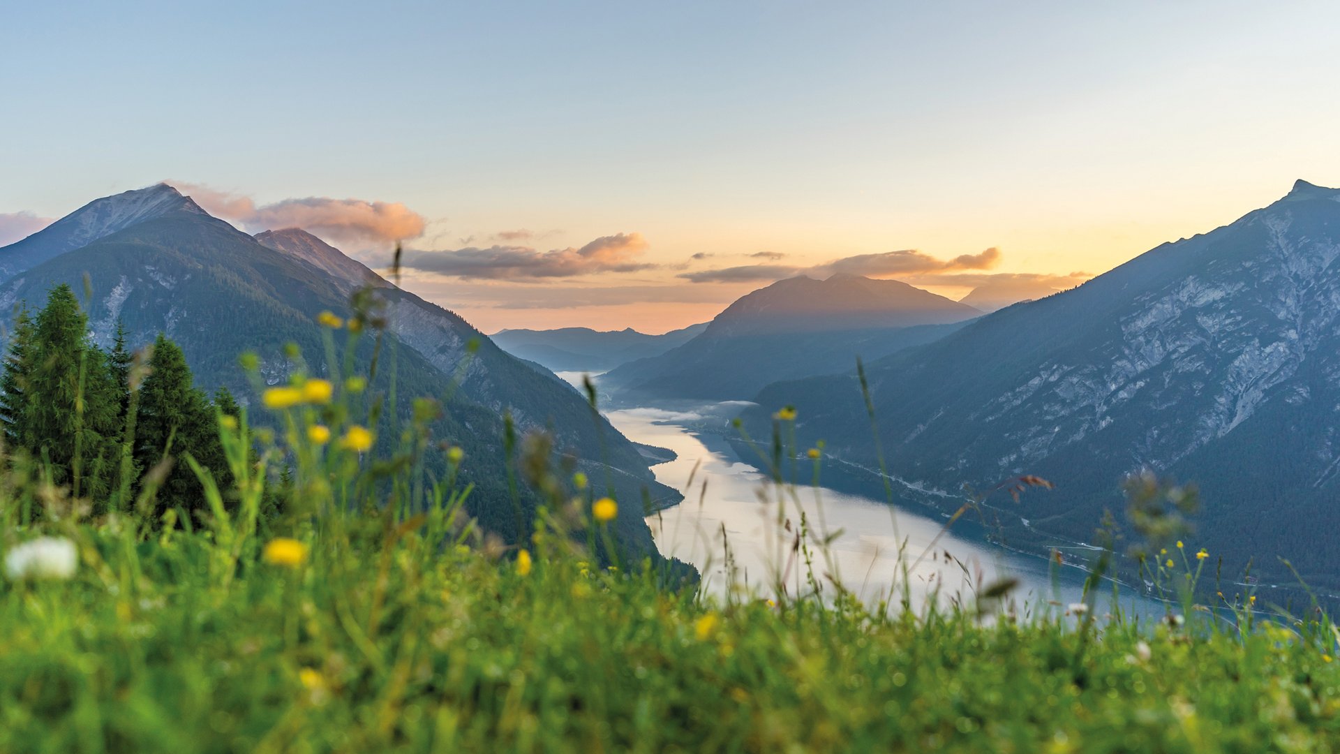 River flowing between tall mountains at sunset with flowers foreground